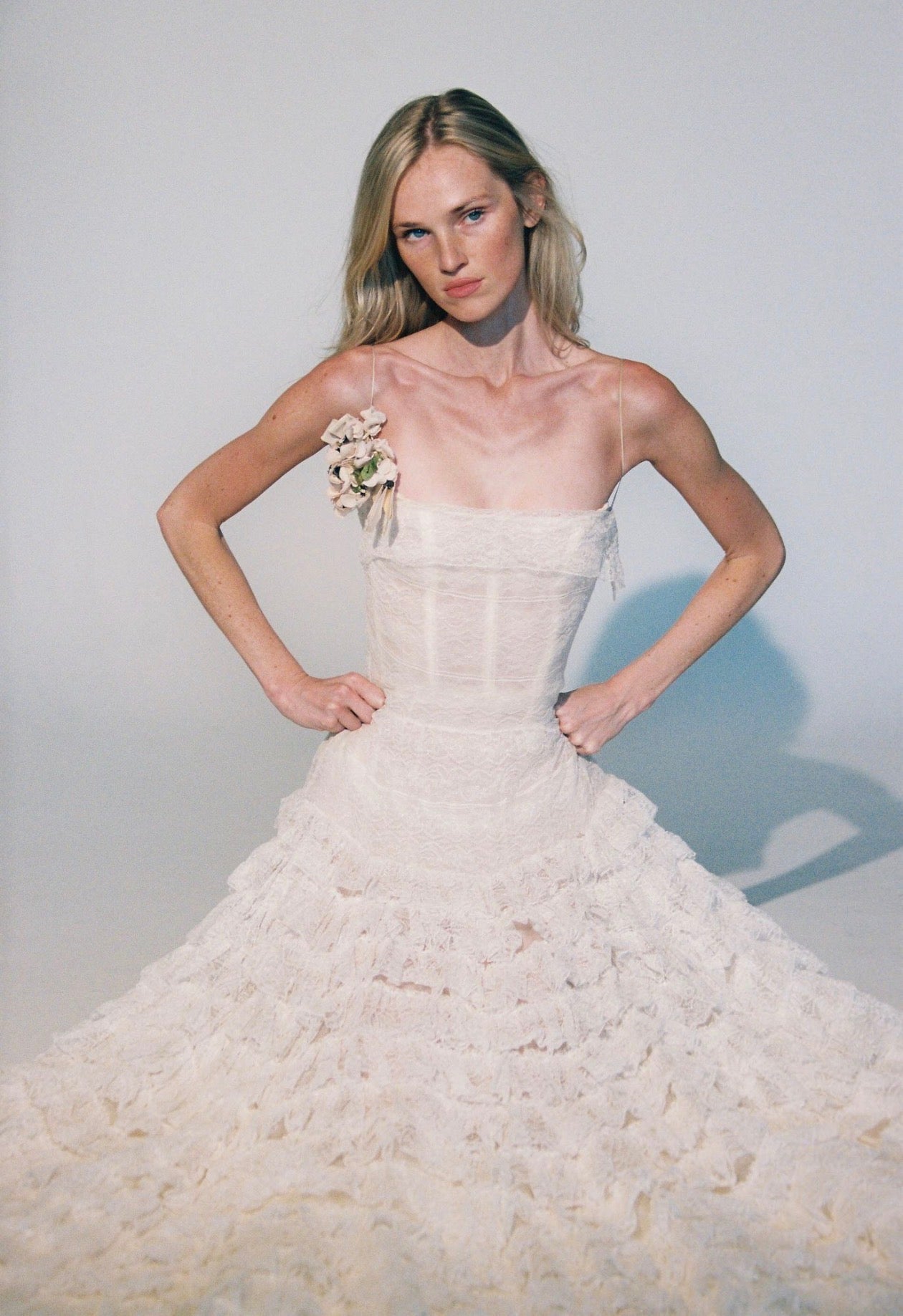 Roberto Cavalli runway F/W 2007 lace gown